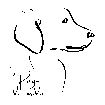 Ragù Di Corda